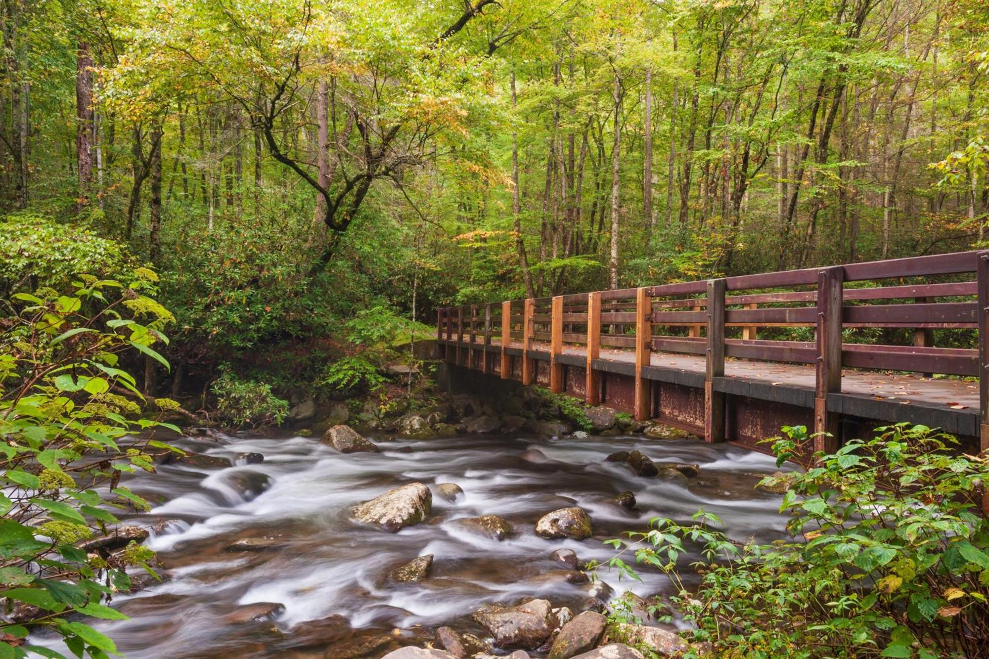 Majestic View Lodge, Amazing Views, Hot Tub, 1089 Free Tickets Each Paid Day, Dollywood And More جاتلينبرج المظهر الخارجي الصورة